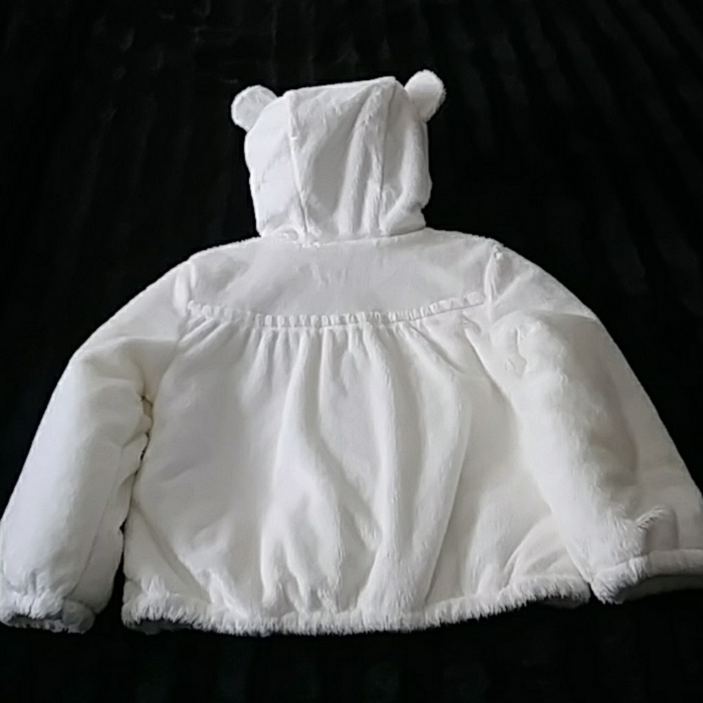 Jacket - Picture 3 of 6